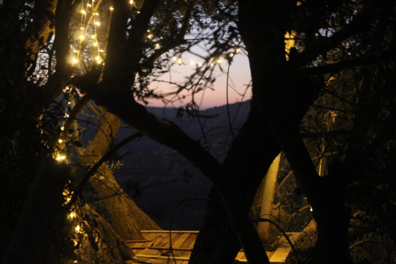Hobbit Village Dana Zewnętrze zdjęcie