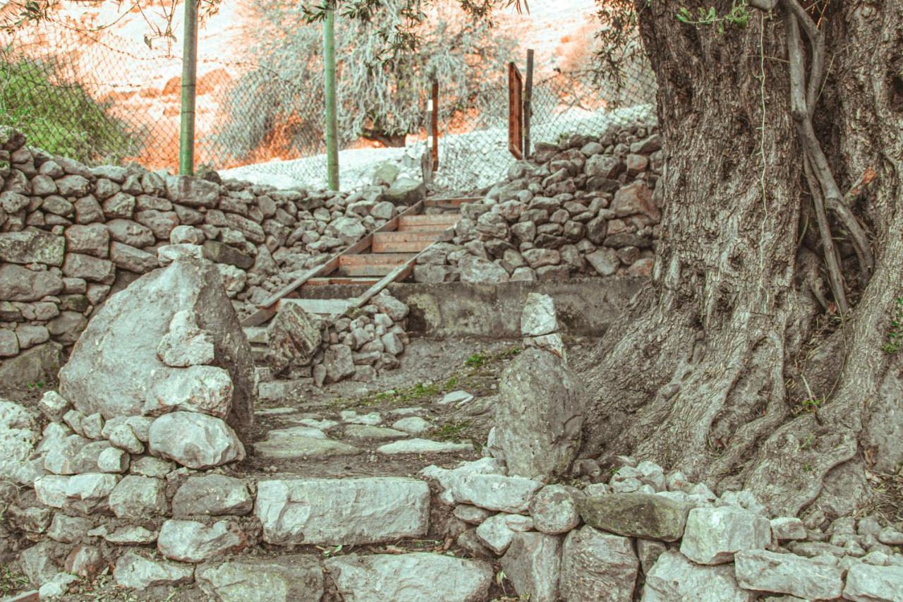 Hobbit Village Dana Zewnętrze zdjęcie